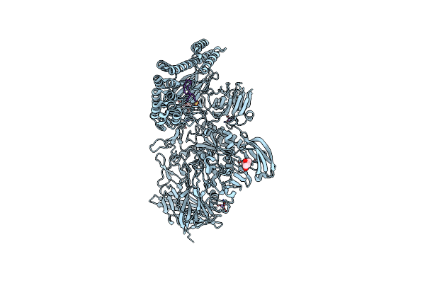 6SH9 image