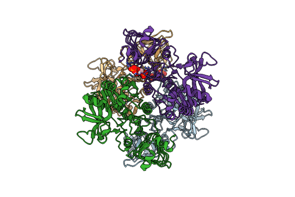 6SHN image