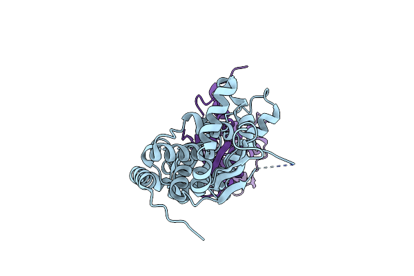 6SHX image