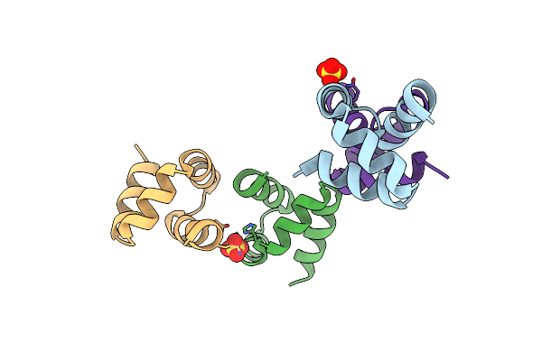 6SIG image