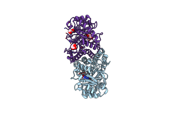 6SJO image
