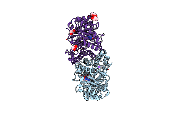 6SJS image