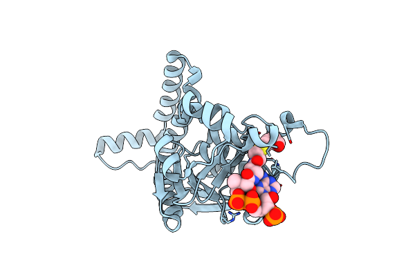 6SLB image