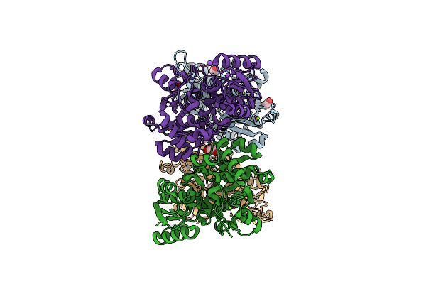 6SLH image