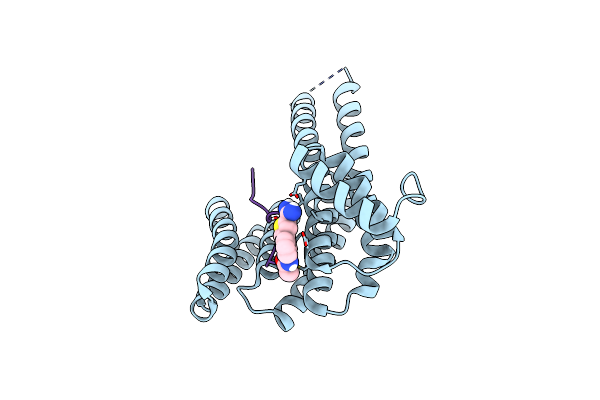 6SLX image