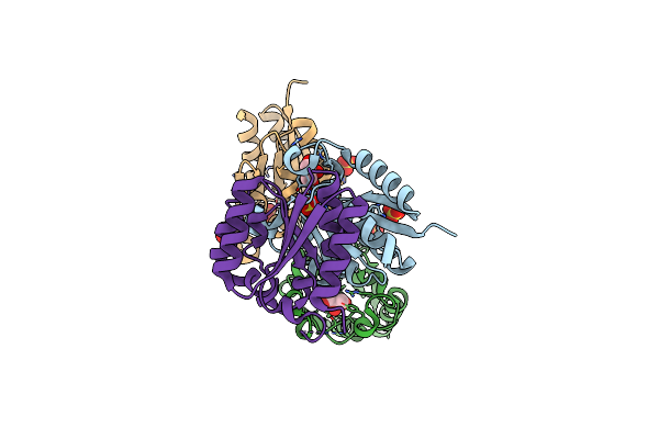 6SME image