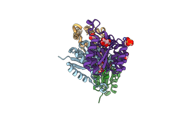6SMF image