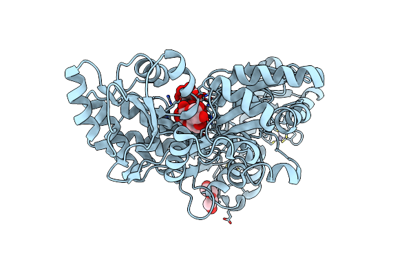 6SMV image