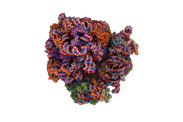 6SNT image