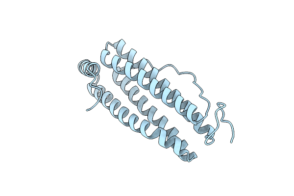 6SOP image