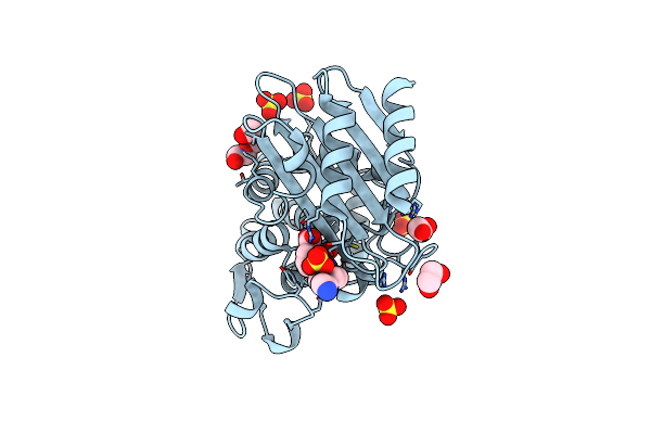 6SP6 image