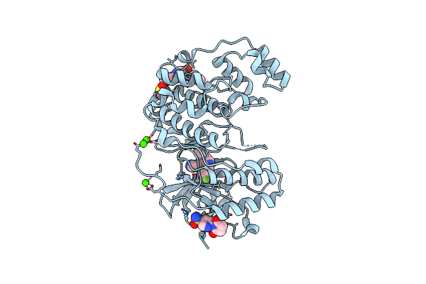 6SP9 image