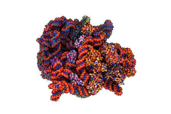 6SPF image