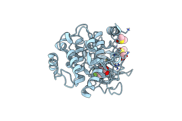 6SPM image