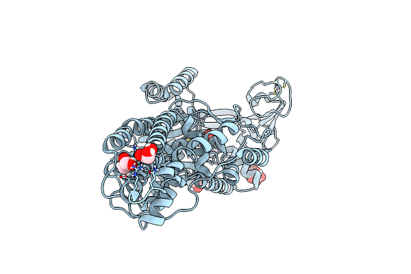 6SPO image