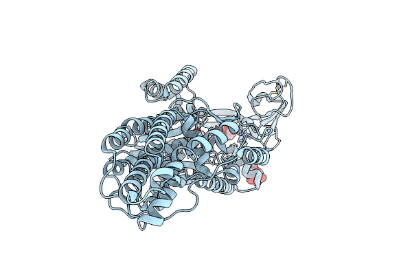 6SPP image