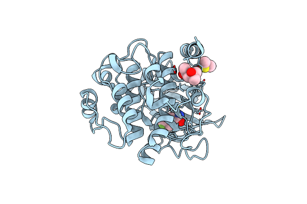 6SPS image