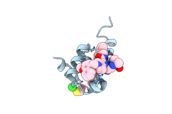 6SPT image