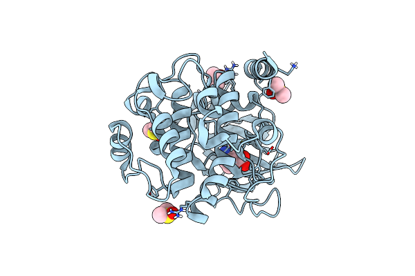 6SPU image