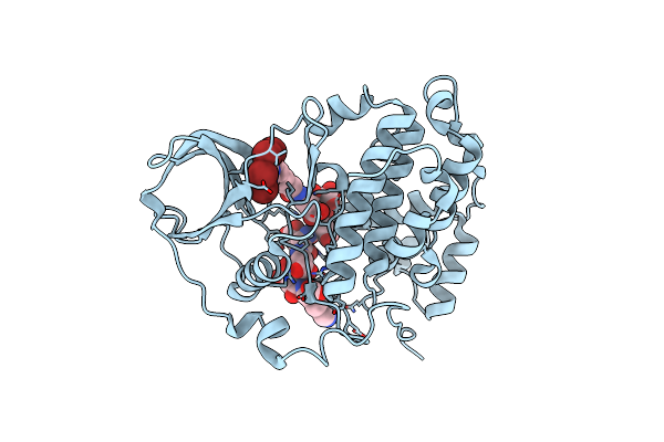 6SPX image