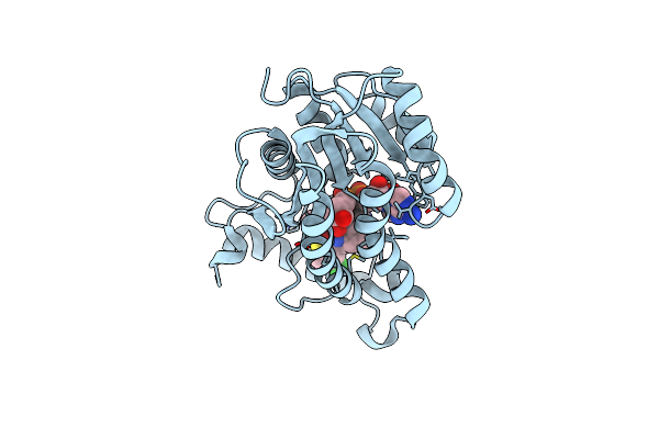 6SQL image