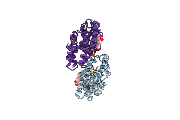 6SRA image