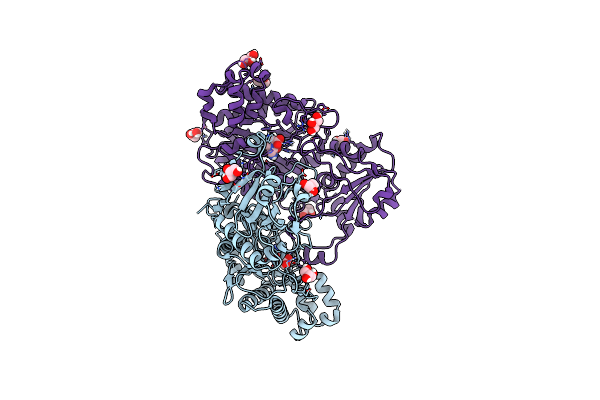6SRE image