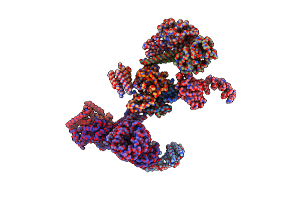 6SRI image