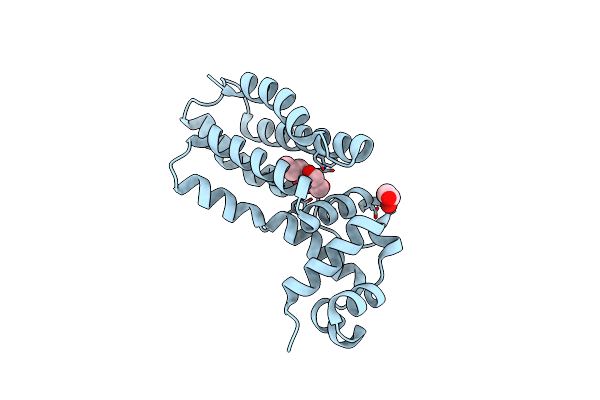 6SRN image