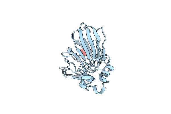 6SRO image