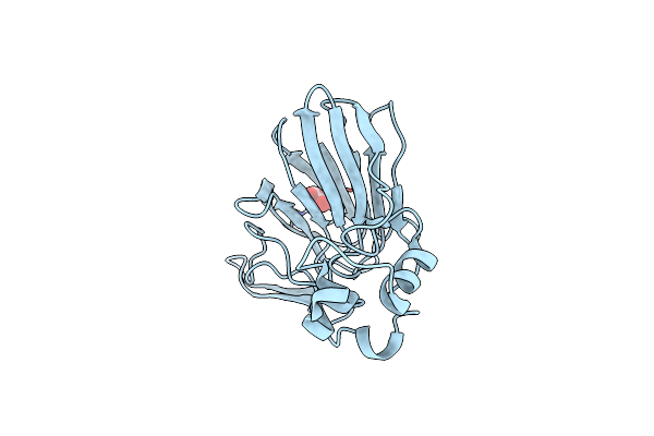 6SRP image