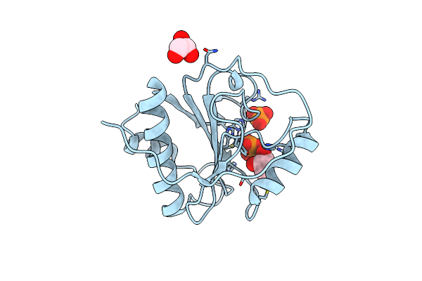 6SRT image