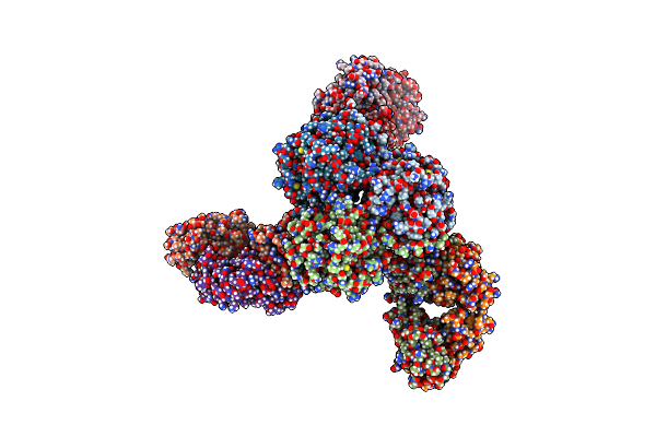 6SS6 image