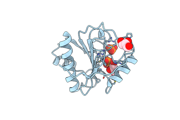 6SSC image