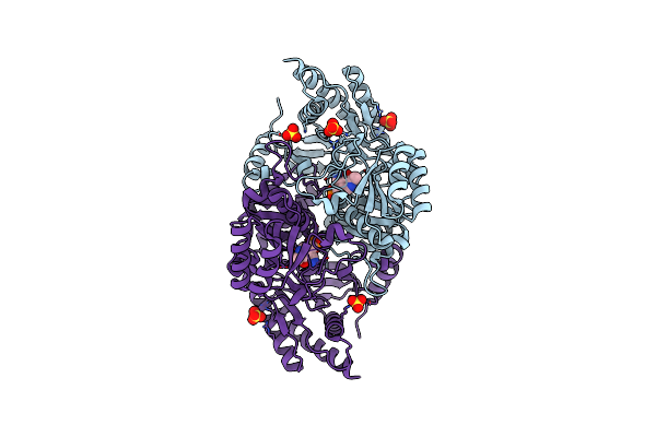 6SSE image