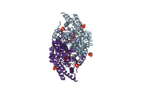 6SSF image