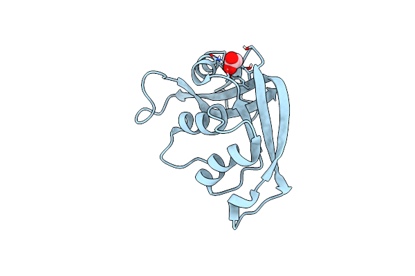 6SSO image