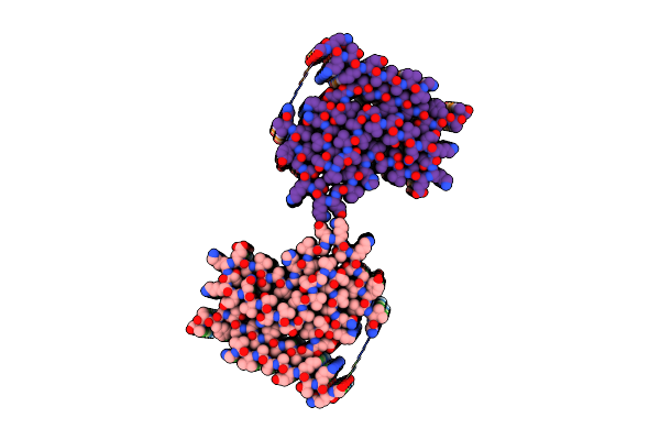6SST image