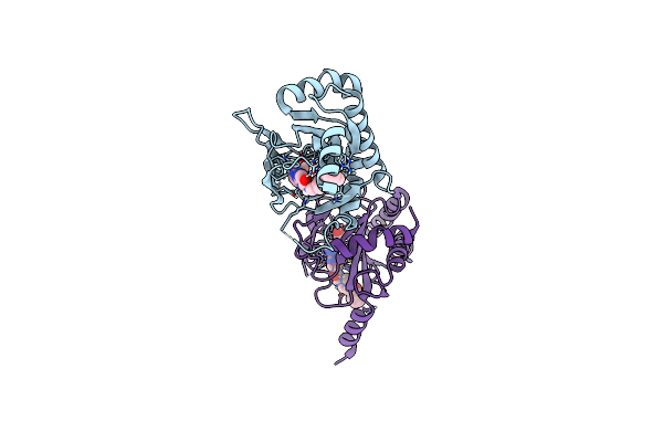 6ST3 image