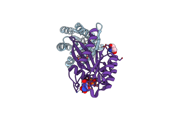 6STG image