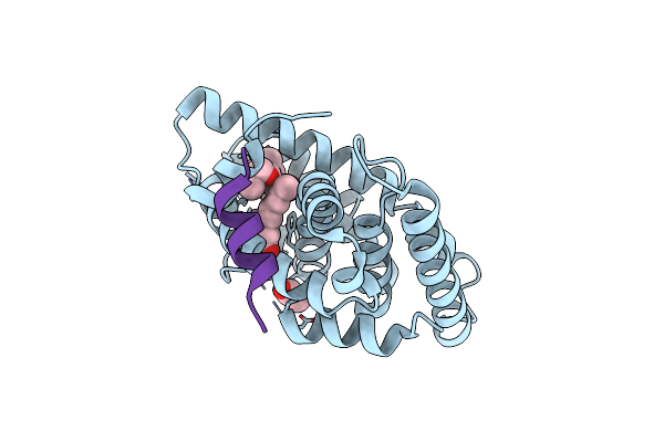 6STI image