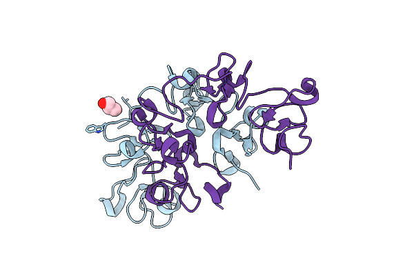 6STM image
