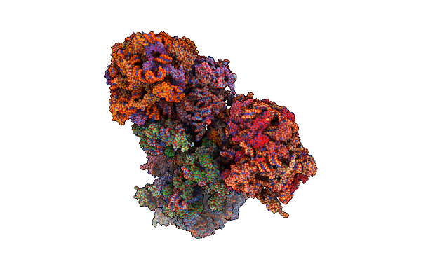 6SV4 image
