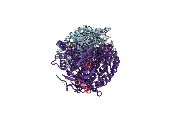 6SVM image