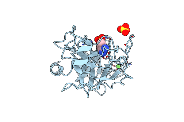 6SVV image