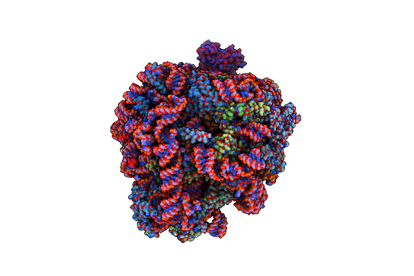 6SWA image