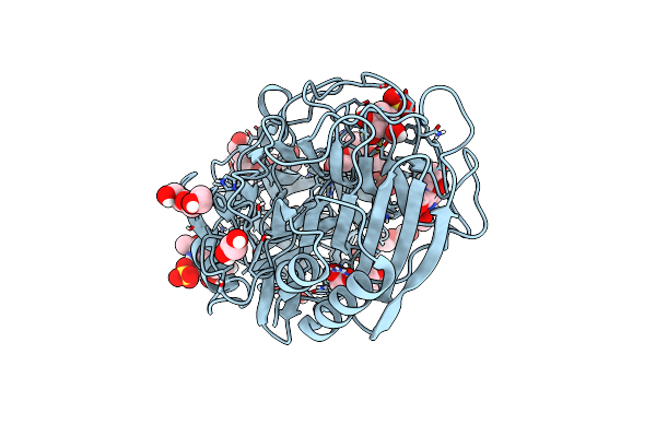 6SXS image