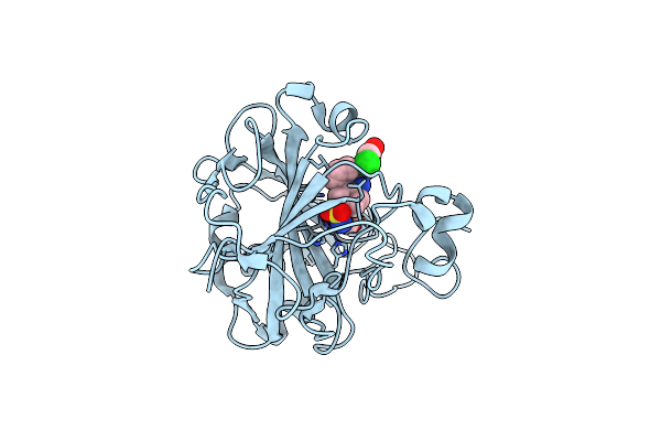 6SYB image