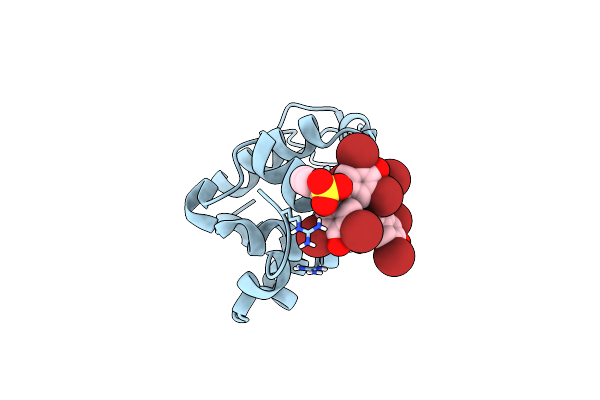 6SYE image