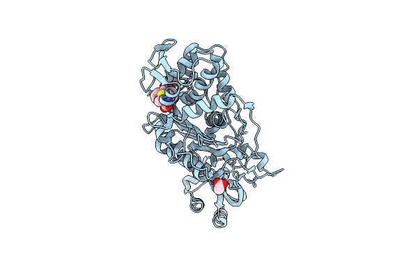 6SYN image